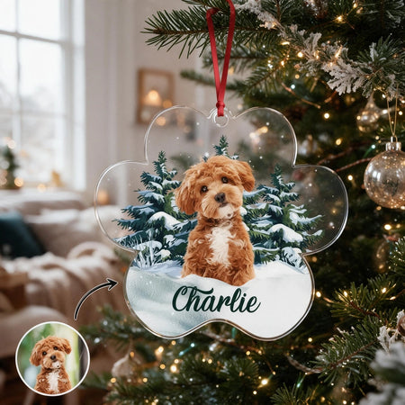 Custom Photo Upload Acrylic Ornament with Snowy Winter Scene 7ZTRX