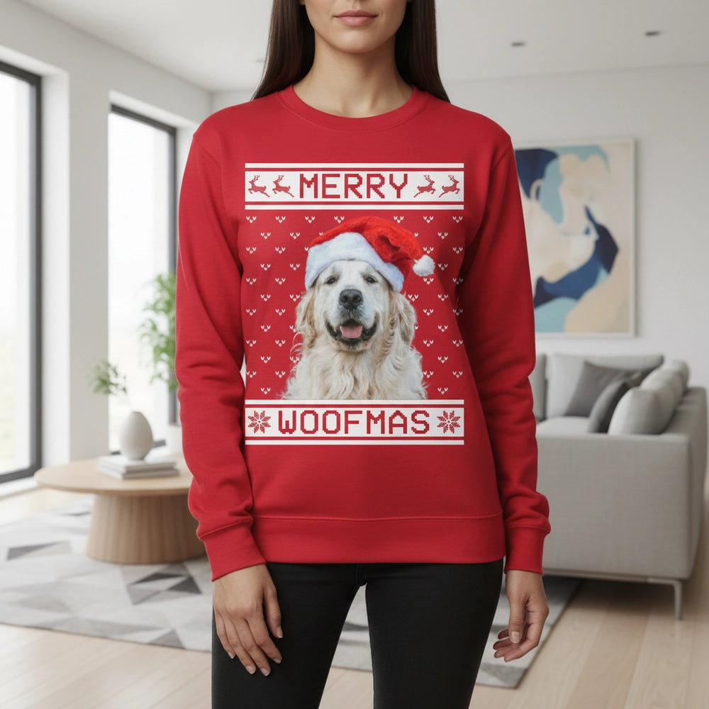 gmp:场景图-主图-.webp