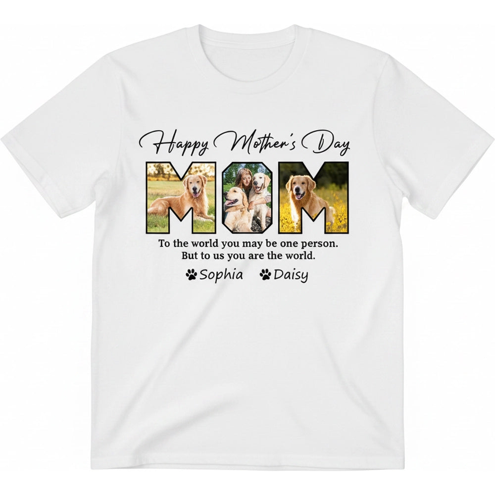 gmp:白底图.webp
