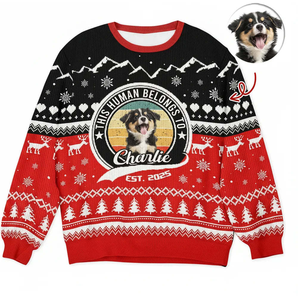 Custom Photo Upload This Human Belongs To Ugly Christmas Sweater product on white background