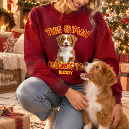 Custom Photo Upload Christmas Sweatshirt This Human Belongs To AY3UK