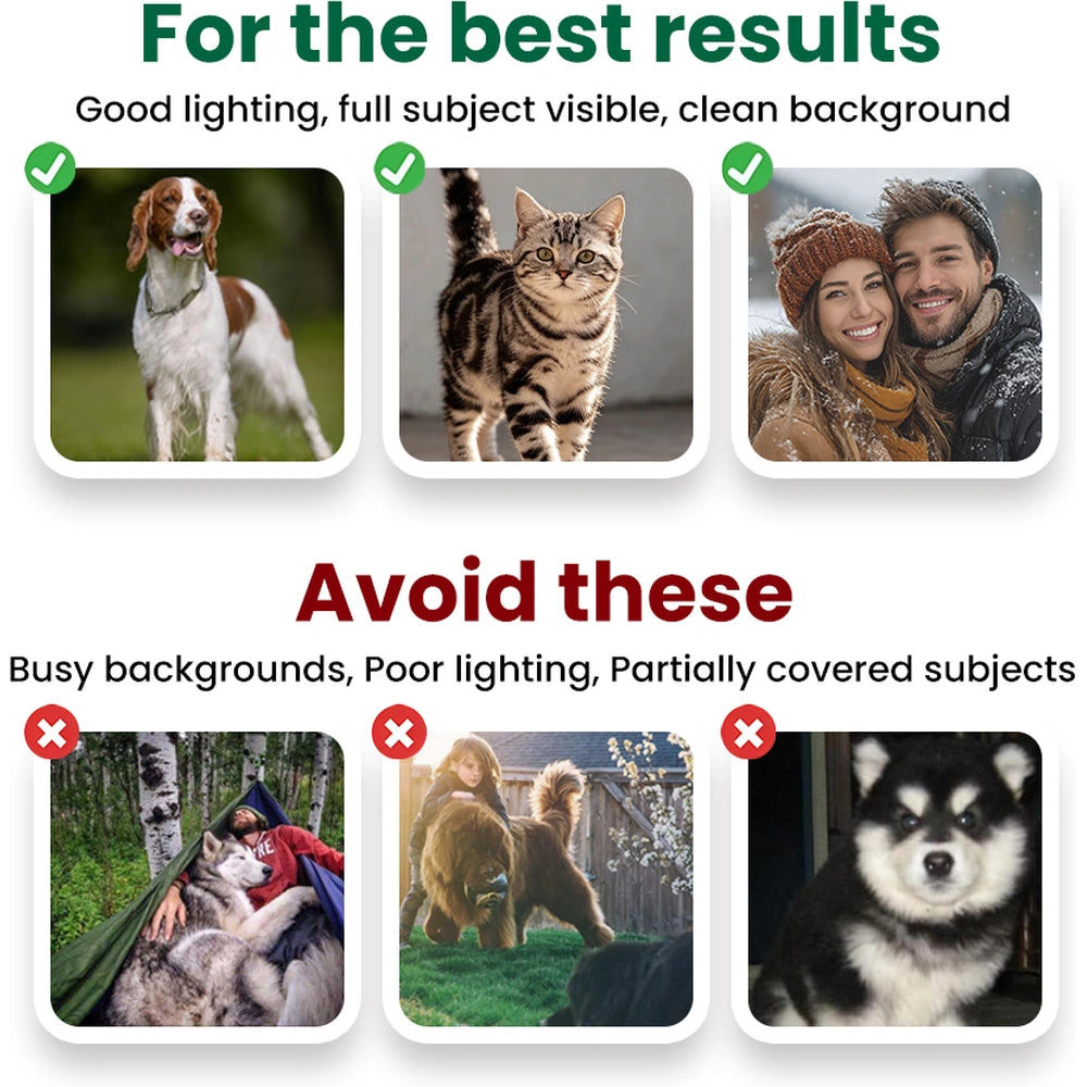 gmp:direct-notice.webp