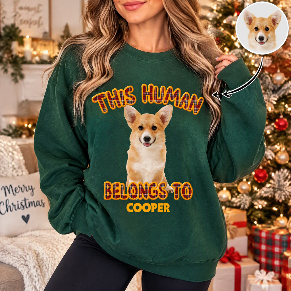 Custom Photo Upload Christmas Sweatshirt This Human Belongs To AY3UK