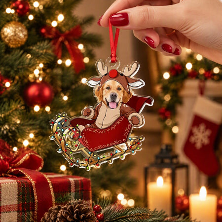 Custom Photo Upload Acrylic Ornament with Reindeer Costume & Sleigh ZD6TU