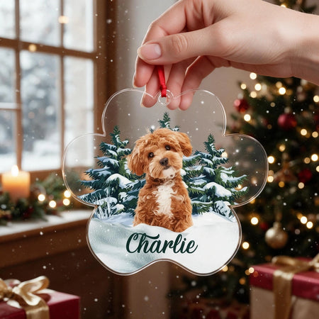 Custom Photo Upload Acrylic Ornament with Snowy Winter Scene 7ZTRX