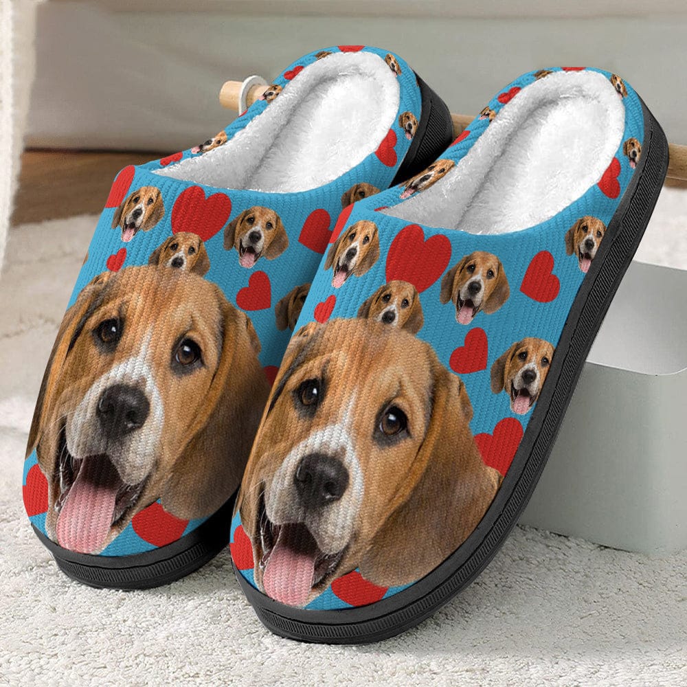 Custom Dog Cat Accessories Slipper T-Shirt — Gift for Pet Lovers WWPHG