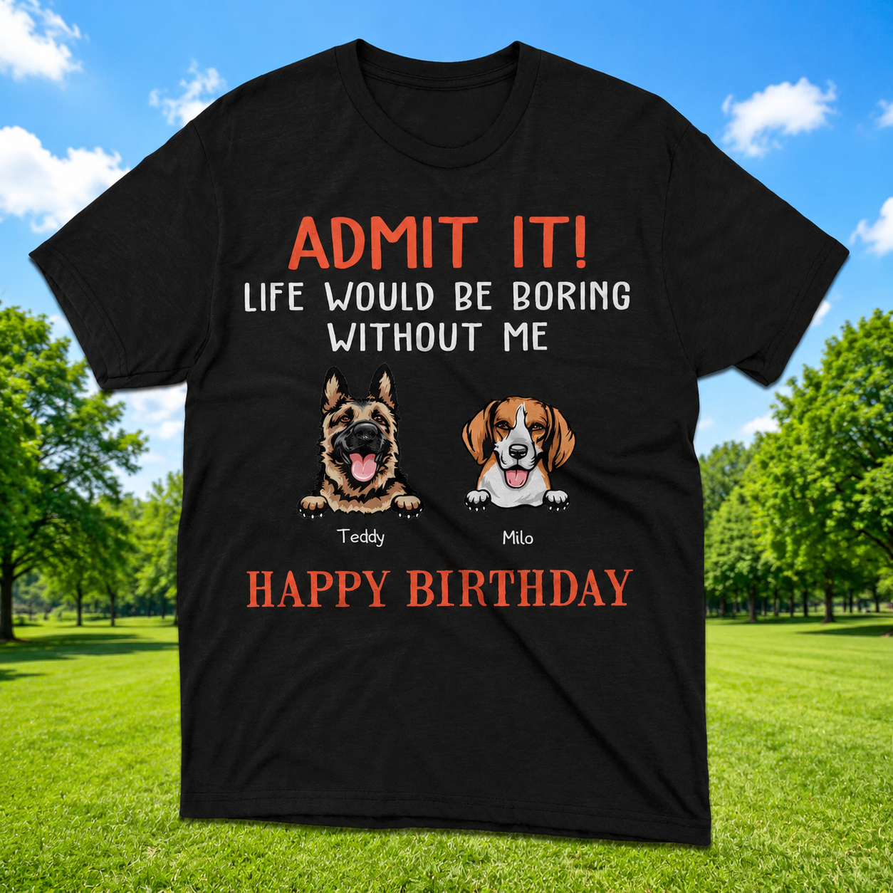 Custom Happy Birthday Admit It T-Shirt — Custom Gift 897ZN