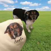 Custom Dog Face Lover T-Shirt — Gift for Dog Lovers S4SM6