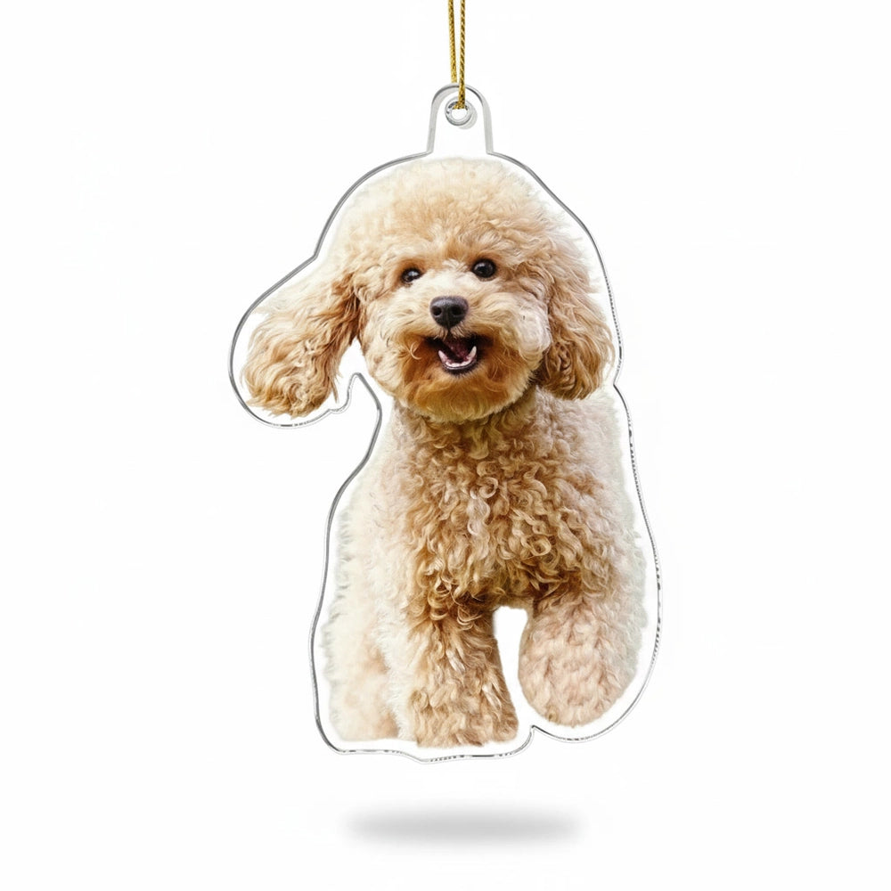 gmp:listing-000-whitebg-010329c0f1.webp