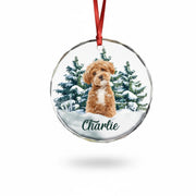 gmp:listing-000-whitebg-073658f6e8.webp
