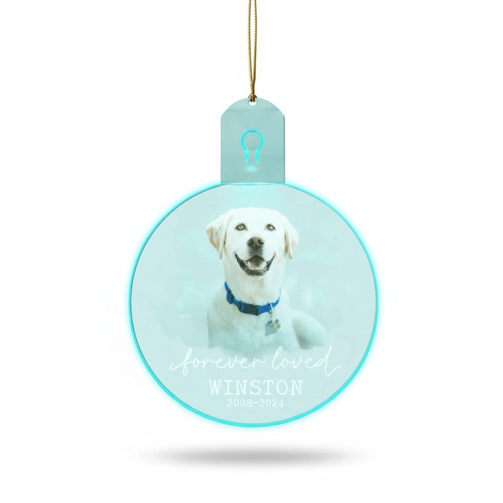 gmp:listing-000-whitebg-0c49499f53.webp