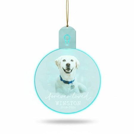 gmp:listing-000-whitebg-0c49499f53.webp