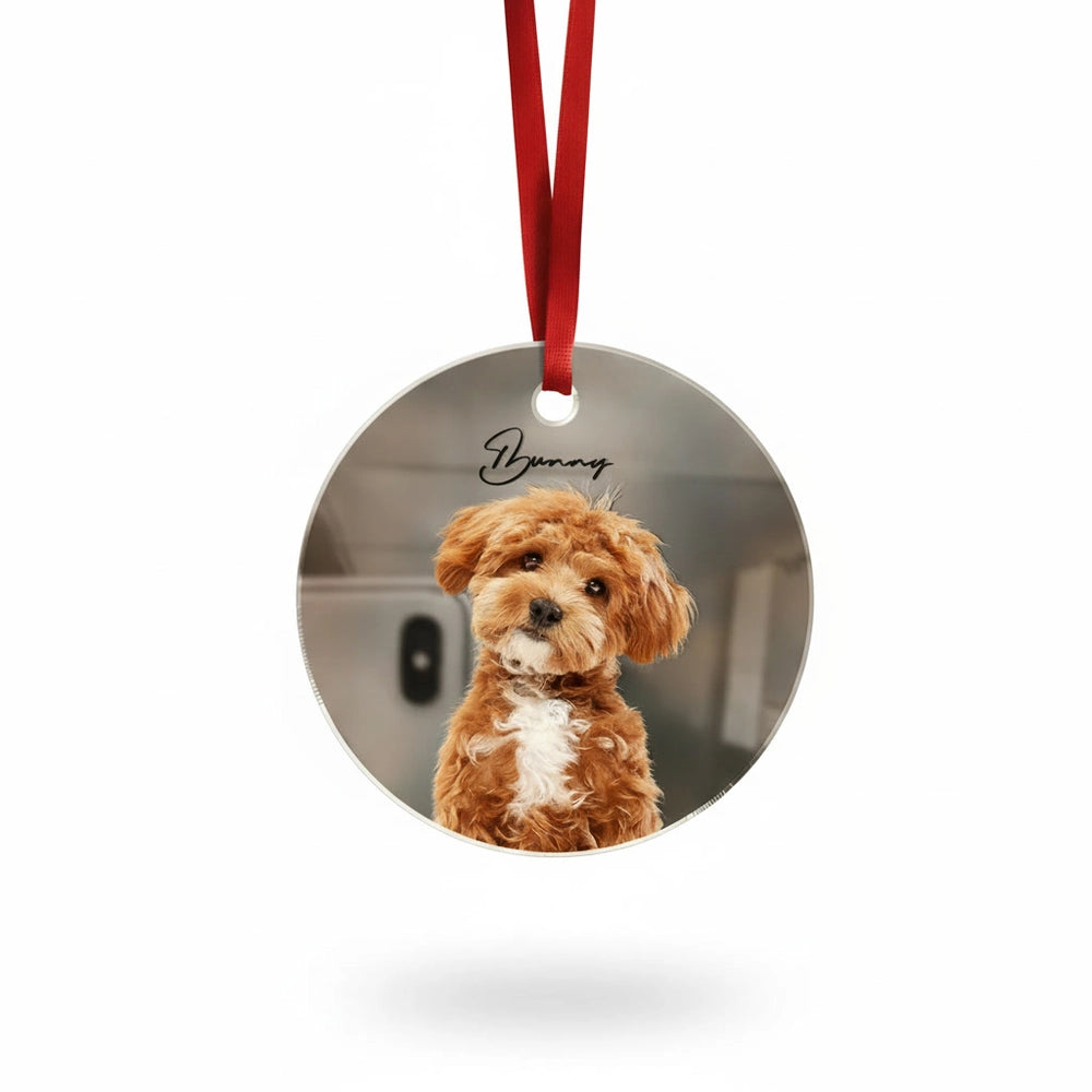 gmp:listing-000-whitebg-1cd8d787f4.webp