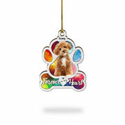 gmp:listing-000-whitebg-3175bfb307.webp