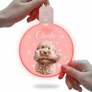 gmp:listing-000-whitebg-32452a5067.webp