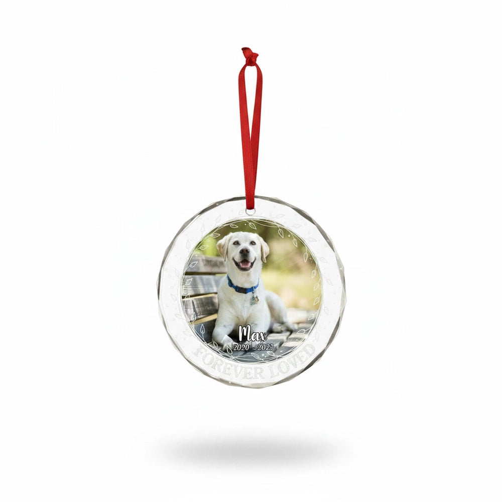 gmp:listing-000-whitebg-39dae3e7e1.webp