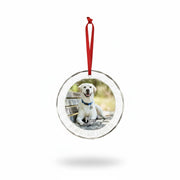 gmp:listing-000-whitebg-39dae3e7e1.webp