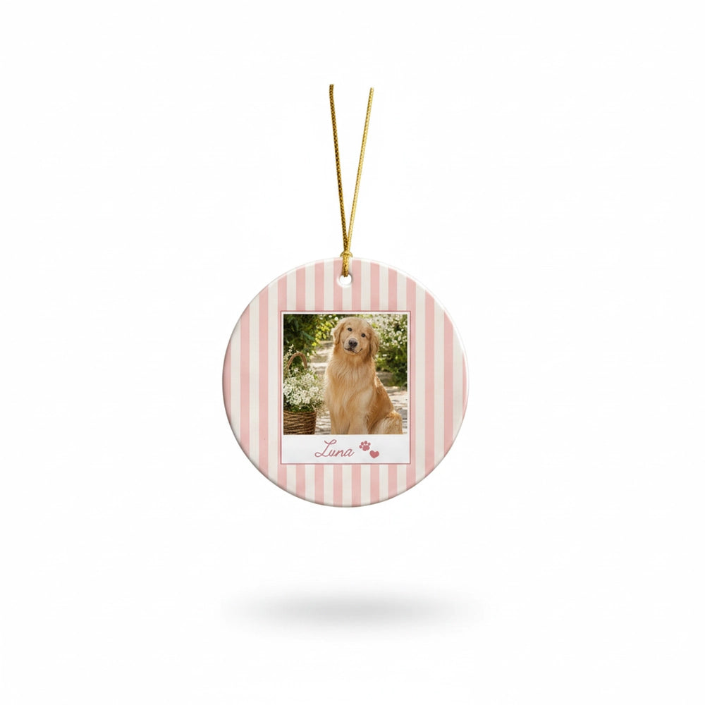 gmp:listing-000-whitebg-41d7e41d52.webp