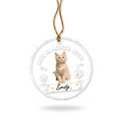 gmp:listing-000-whitebg-4f14f4de72.webp