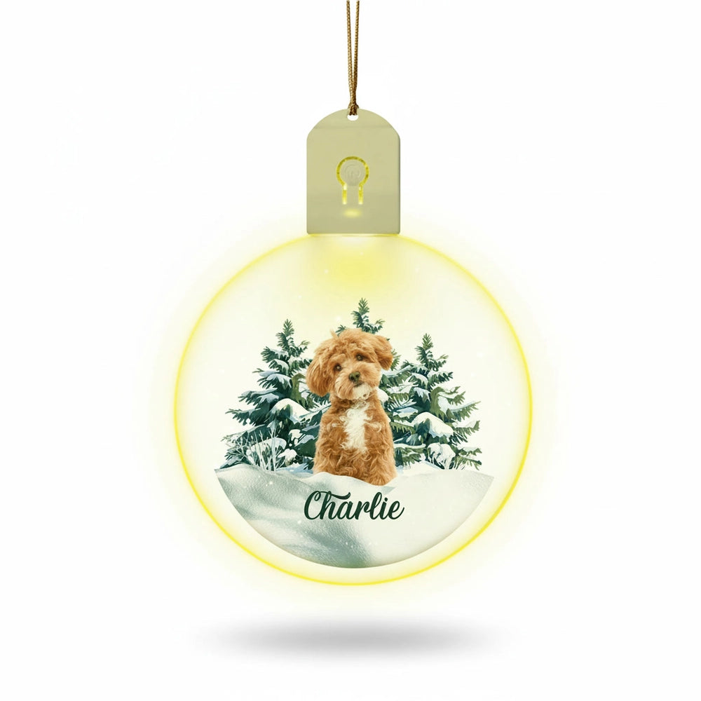 gmp:listing-000-whitebg-50f49a7df1.webp