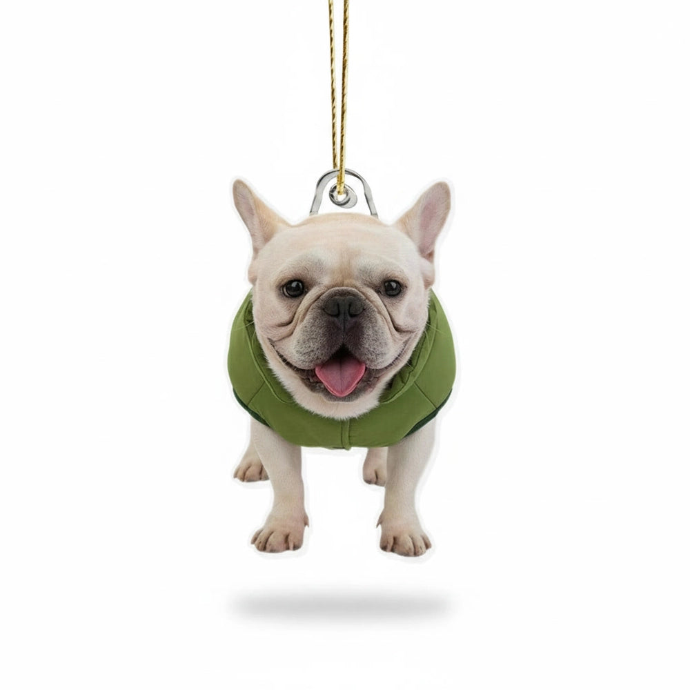 gmp:listing-000-whitebg-5353671998.webp