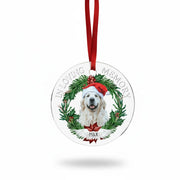 gmp:listing-000-whitebg-654dc1d4db.webp