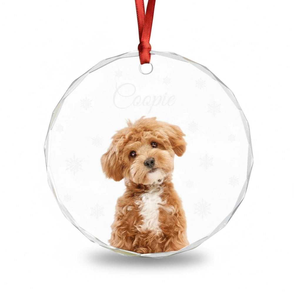 gmp:listing-000-whitebg-73565f7573.webp