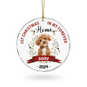 gmp:listing-000-whitebg-8d1d4c86b8.webp