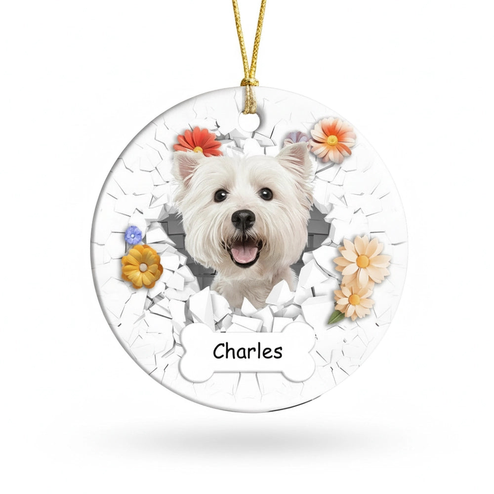 gmp:listing-000-whitebg-ae674cf50a.webp