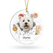 gmp:listing-000-whitebg-ae674cf50a.webp