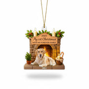gmp:listing-000-whitebg-b3908ea84b.webp