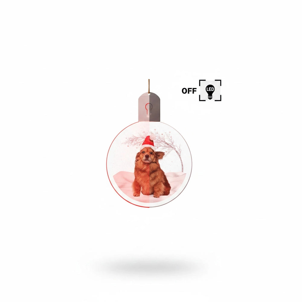 gmp:listing-000-whitebg-c3487900b1.webp