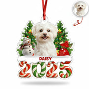 gmp:listing-000-whitebg-c9a3739fa4.webp