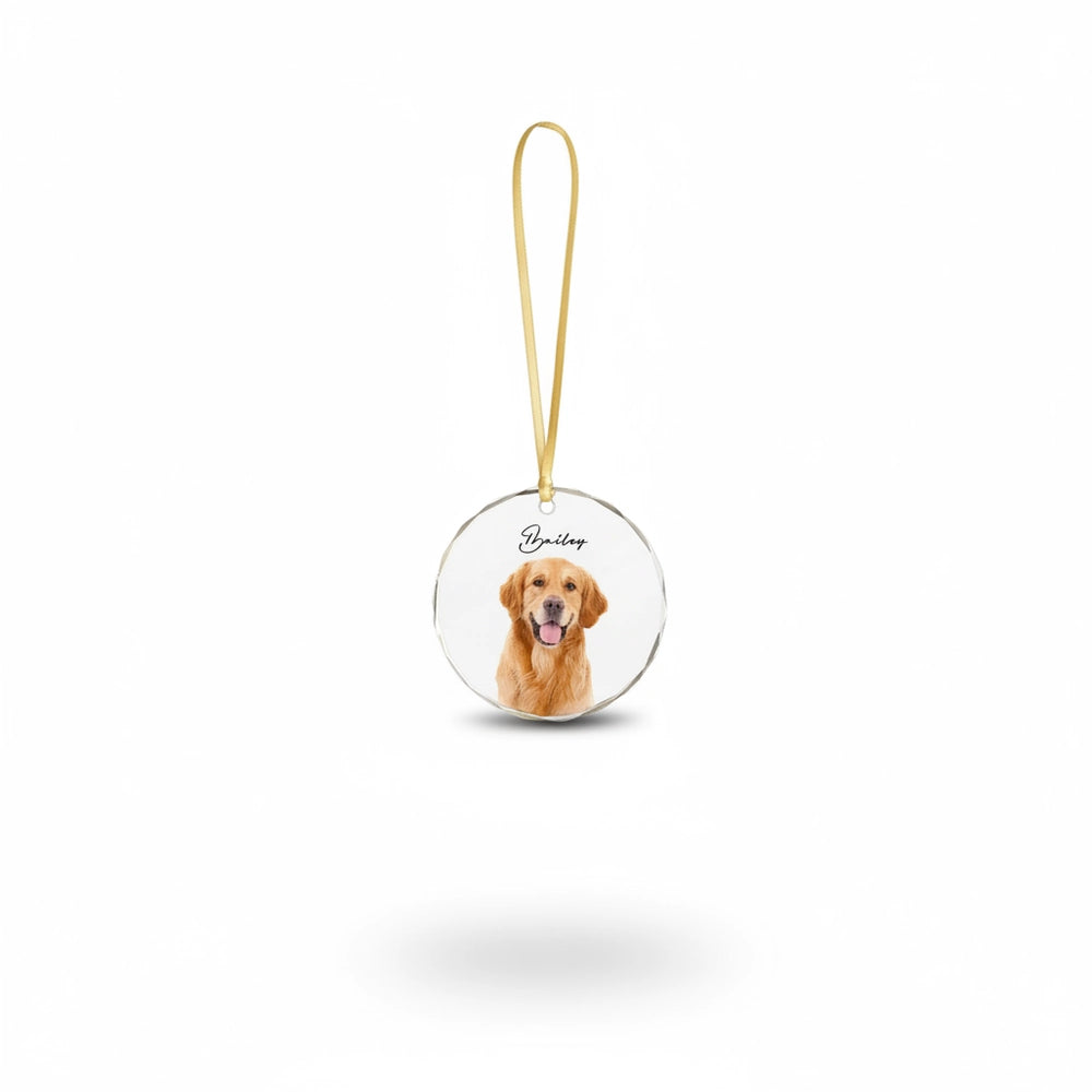 gmp:listing-000-whitebg-cf0997fe2e.webp