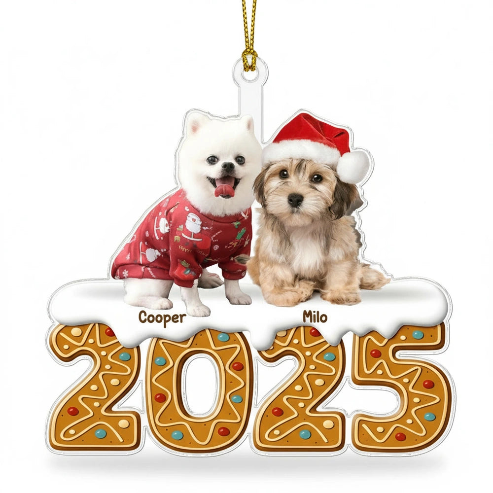 gmp:listing-000-whitebg-d0d9dcbf66.webp