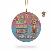 gmp:listing-000-whitebg-dfb28a5e72.webp