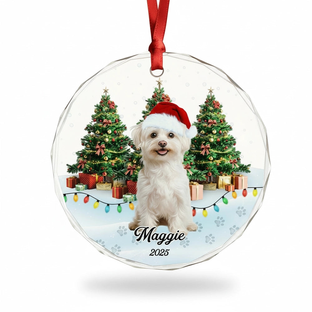gmp:listing-000-whitebg-e7e17dc7cf.webp