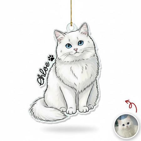 gmp:listing-000-whitebg-f3d32dcbdf.webp