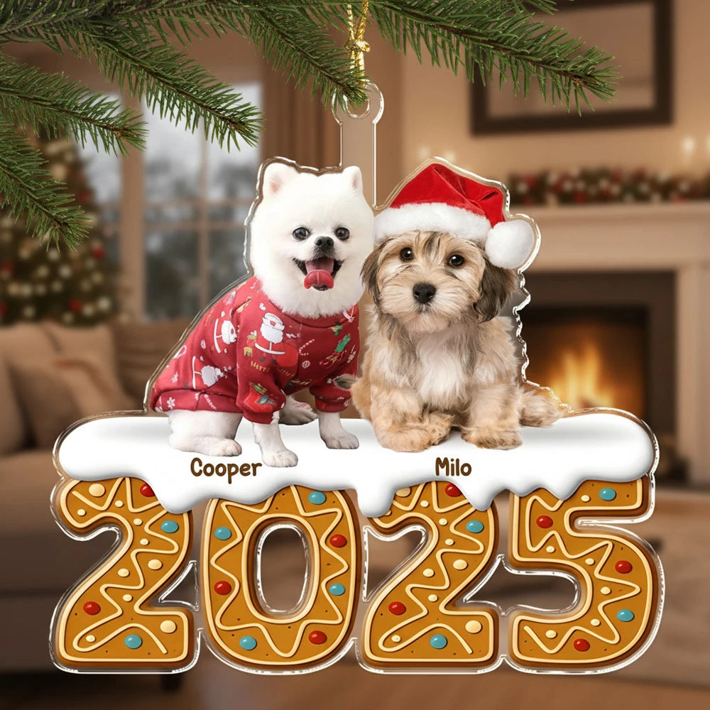 gmp:listing-001-4a5e03a967-bg.webp