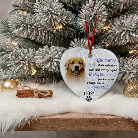 gmp:listing-001-f0ce300663-bg.webp