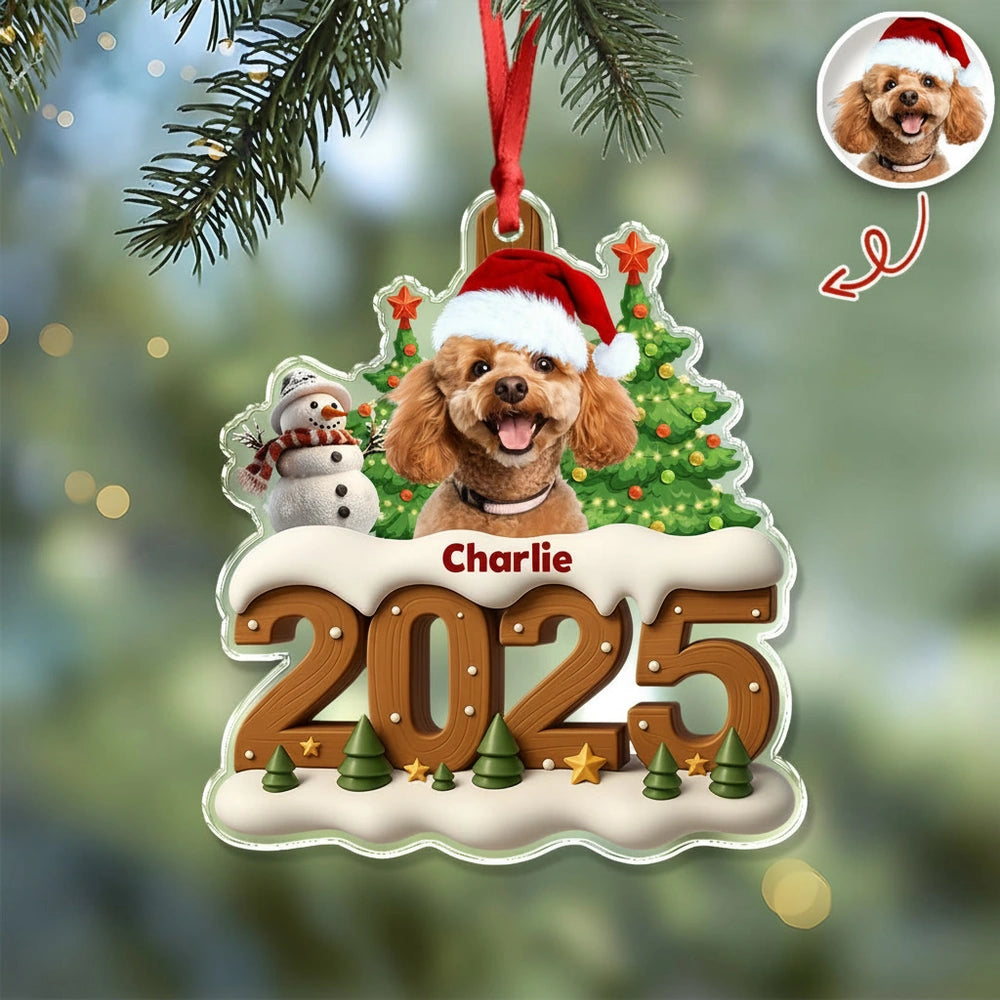 gmp:listing-002-0847729563-bg.webp