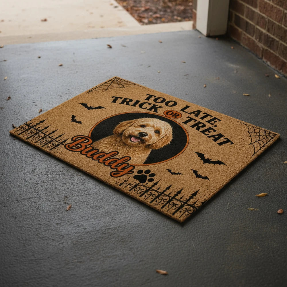 gmp:listing-002-1f621206a6-bg.webp