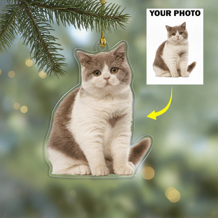 gmp:listing-002-60819eeda5-bg.webp