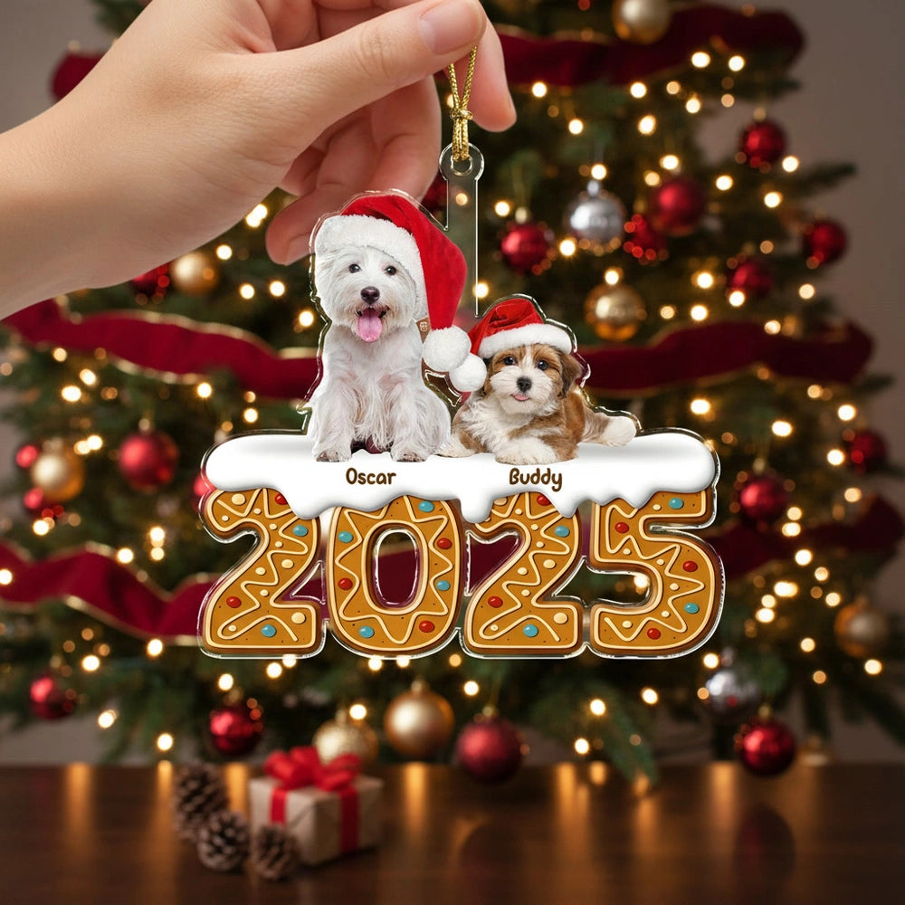 gmp:listing-002-852617530d-bg.webp