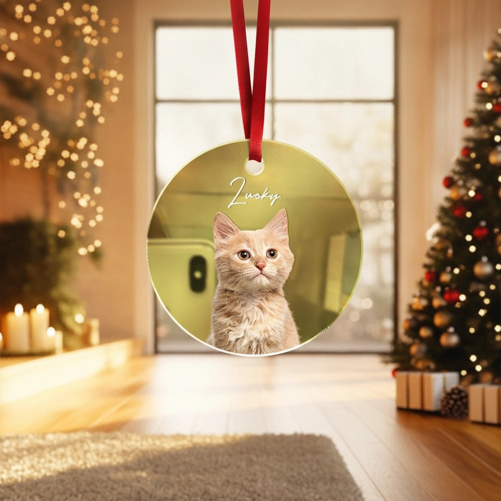 gmp:listing-003-985fdd4bc5-bg.webp