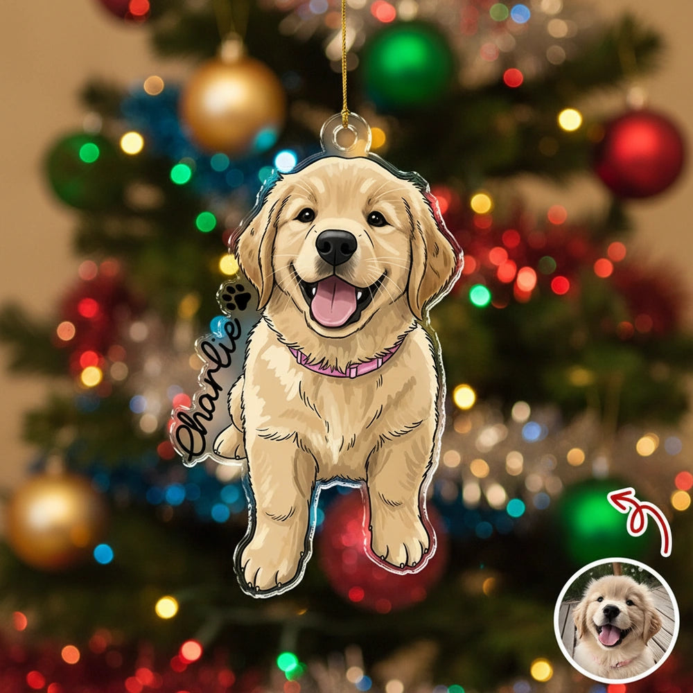 gmp:listing-003-9c622a06f1-bg.webp