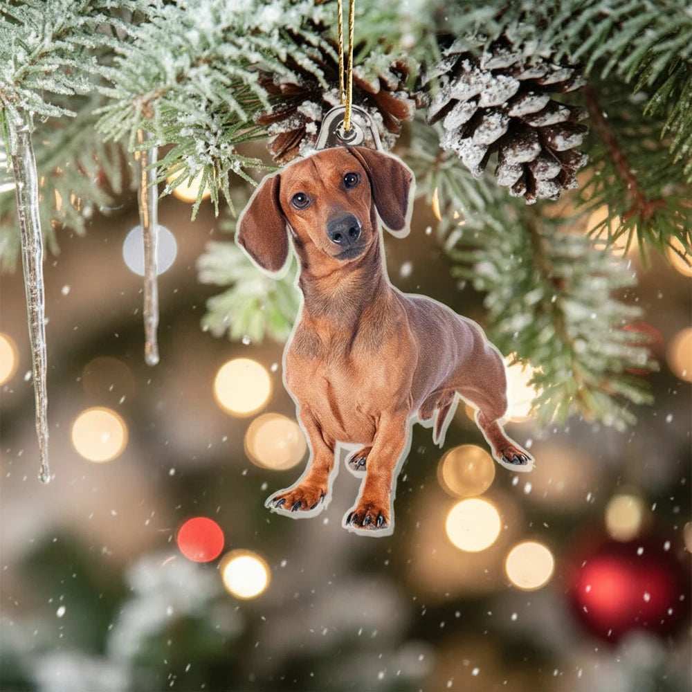 gmp:listing-003-c80e059609-bg.webp