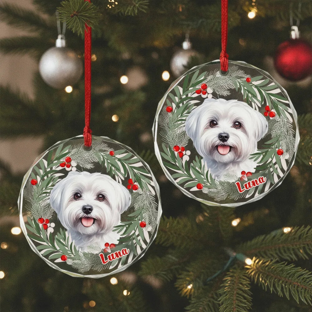 gmp:listing-004-c2ef557637-bg.webp
