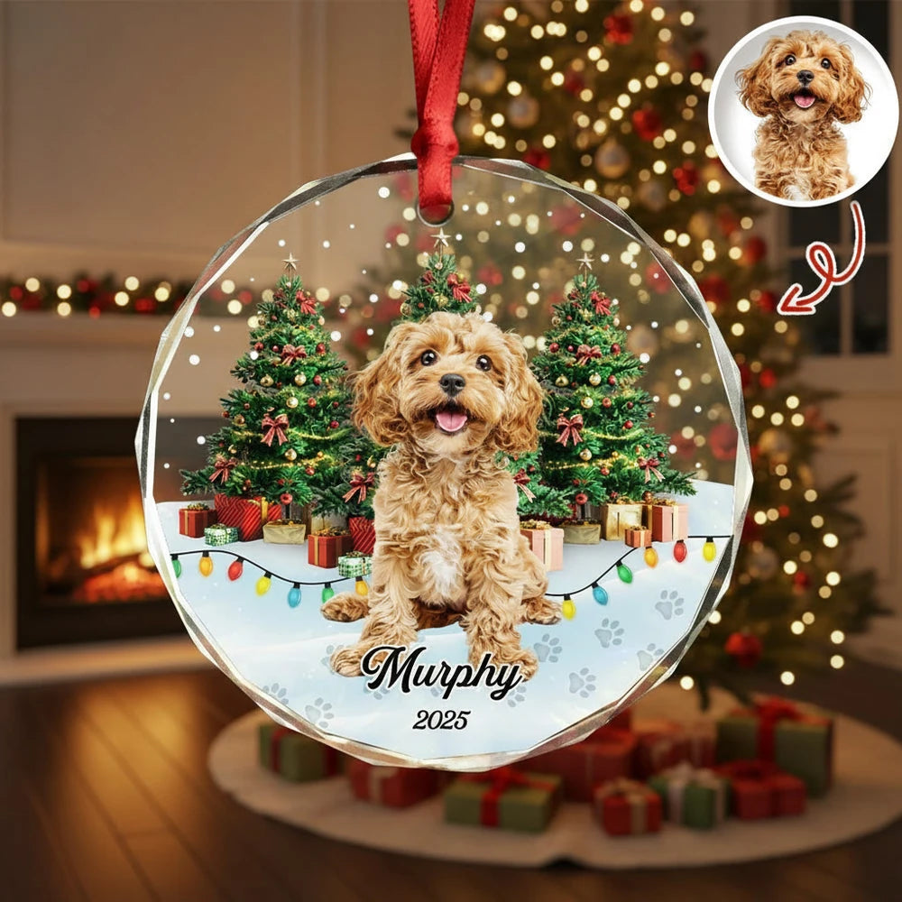 gmp:listing-004-fb17fb4fdb-bg.webp