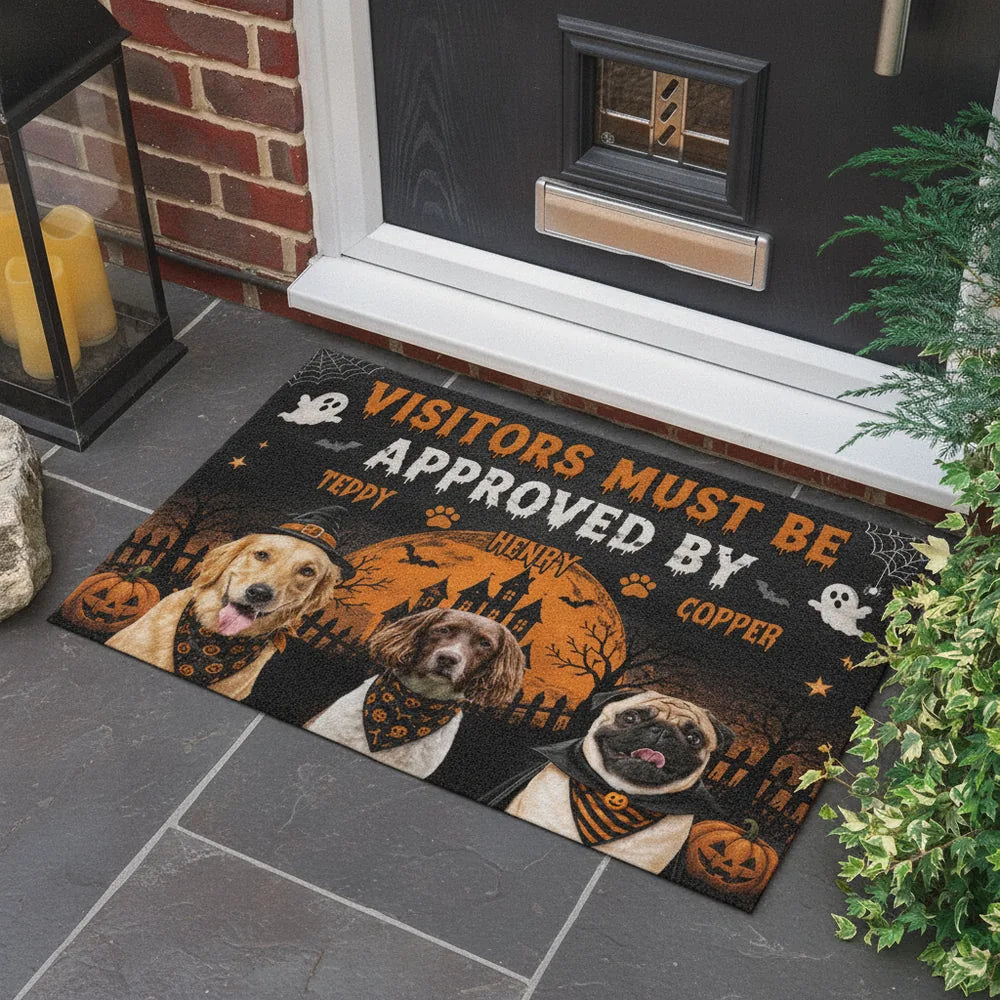 gmp:listing-005-4a930d5f88-bg.webp